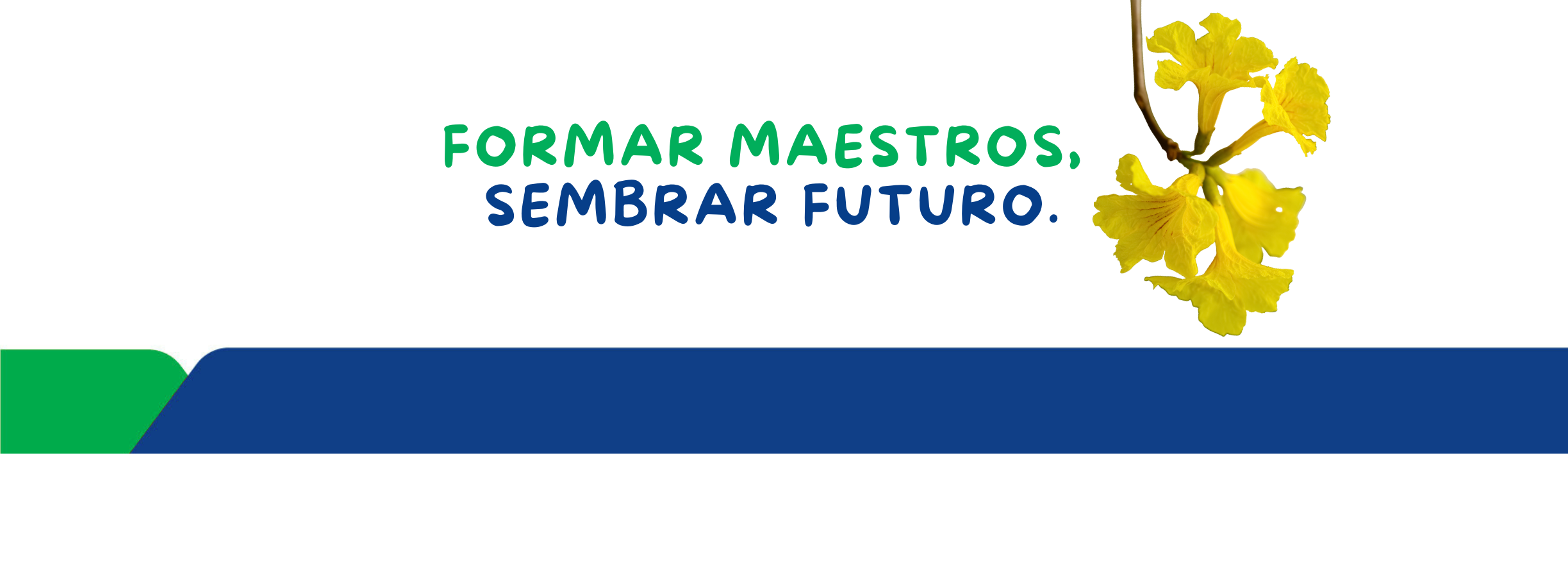 Formar maestros, sembrar futuro. (3)